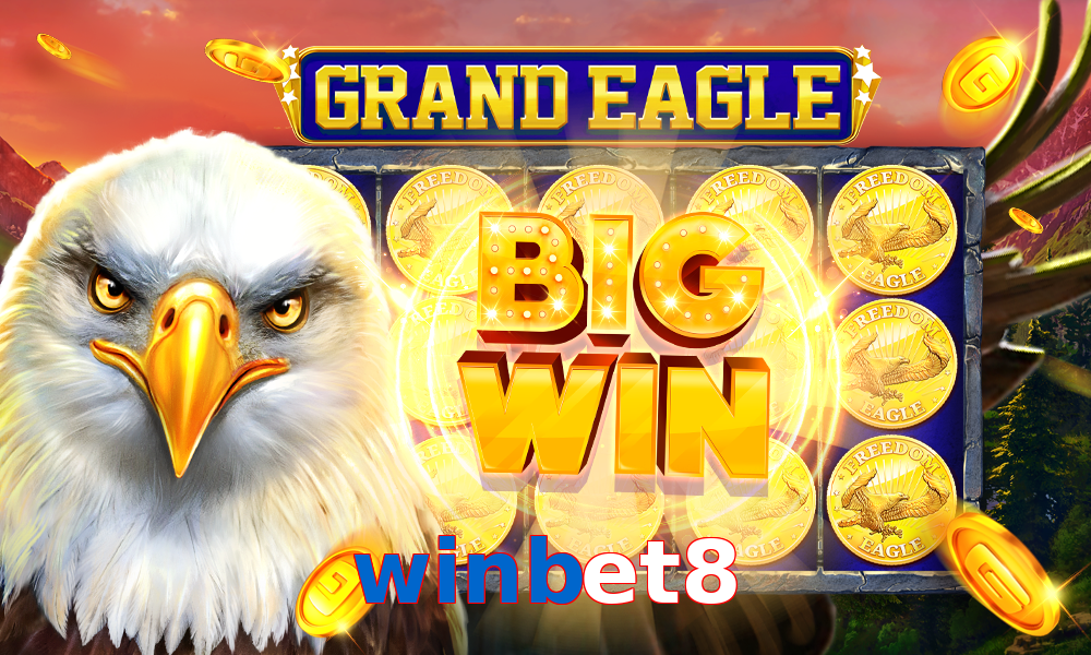 winbet8