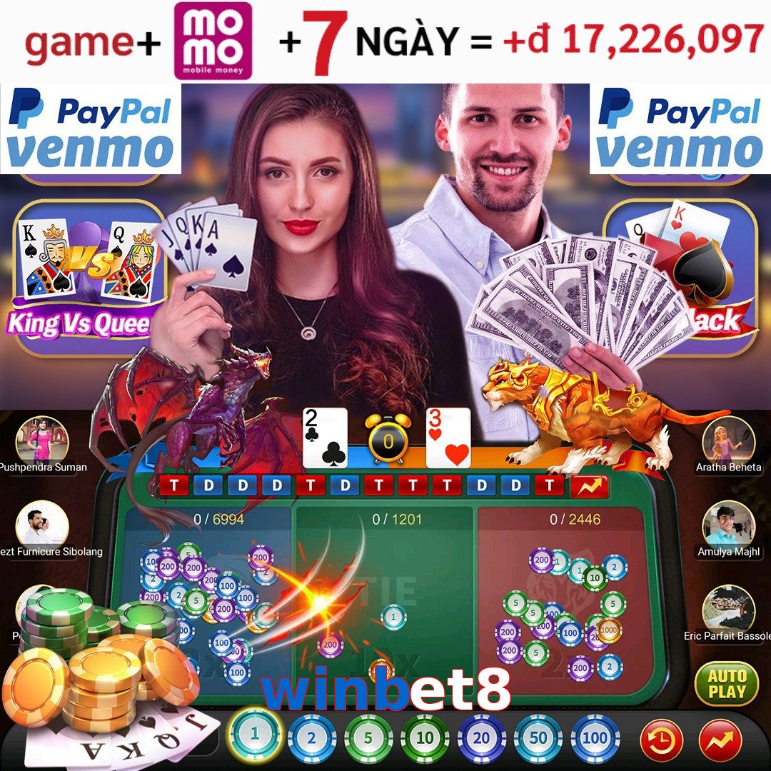 winbet8