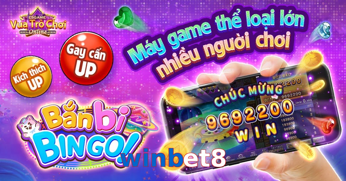winbet8