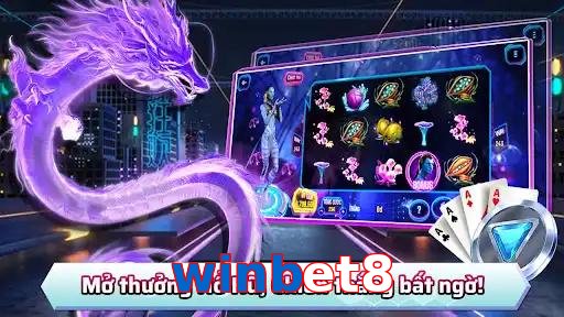winbet8