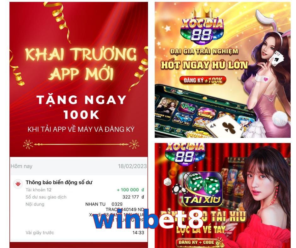 winbet8